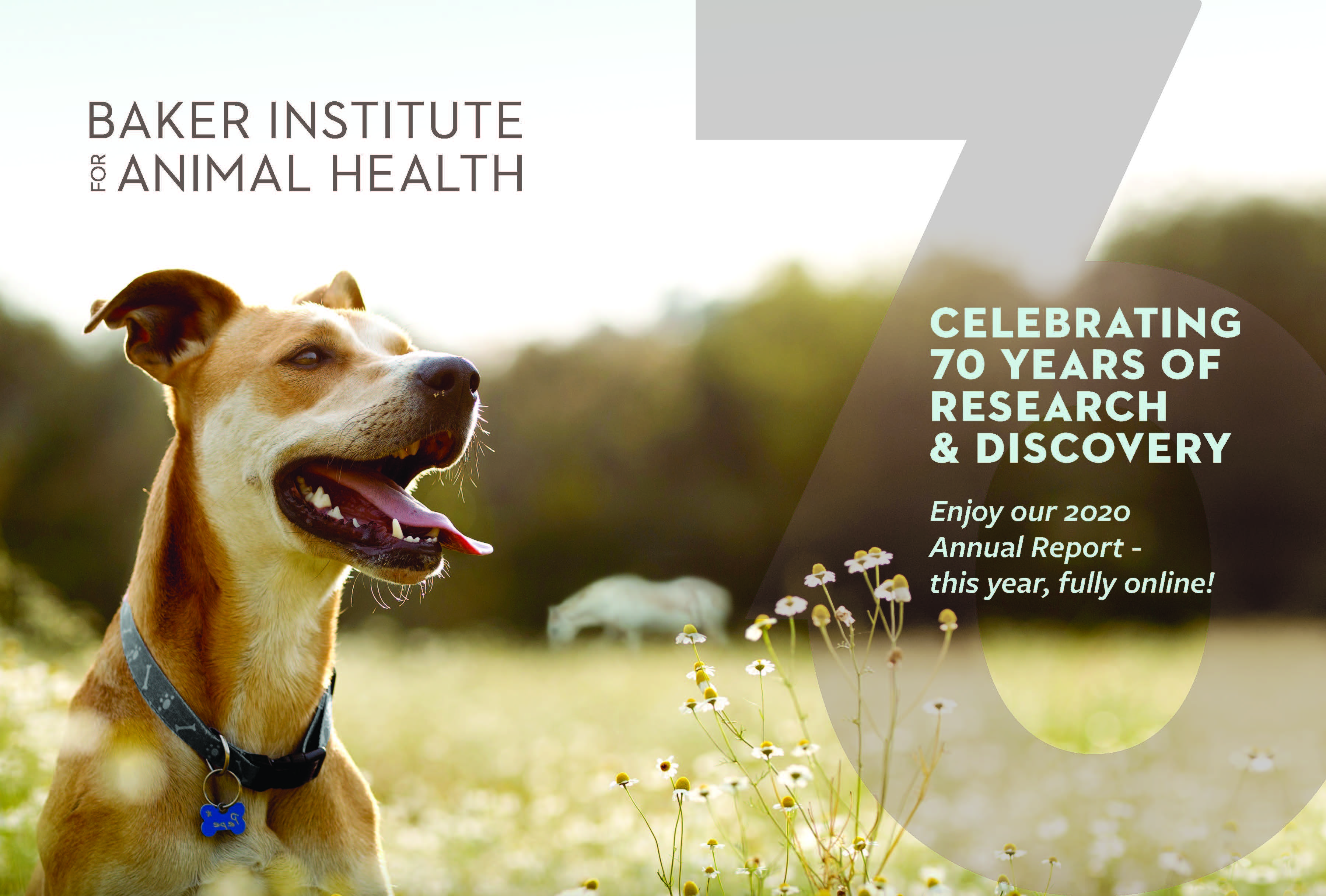 Baker Institute Cornell University College of Veterinary Medicine